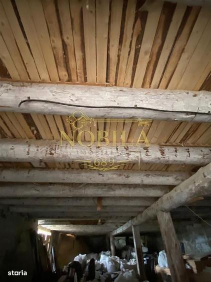 Spațiu comercial, în Agăș