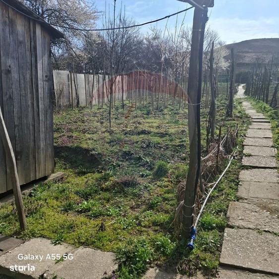 Casa cu 3 camere aproape de Medias in loc. Tarnava str. Dumbravii 58 - 7