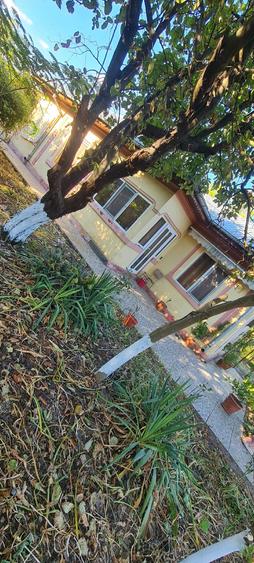Casă cu Teren 4500 Mp în Cunești