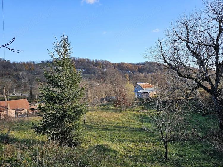 Casă cu Teren 6772 Mp în Ursoaia