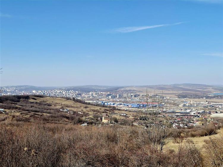Teren agricol extravilan de 10000 mp, în Tomești