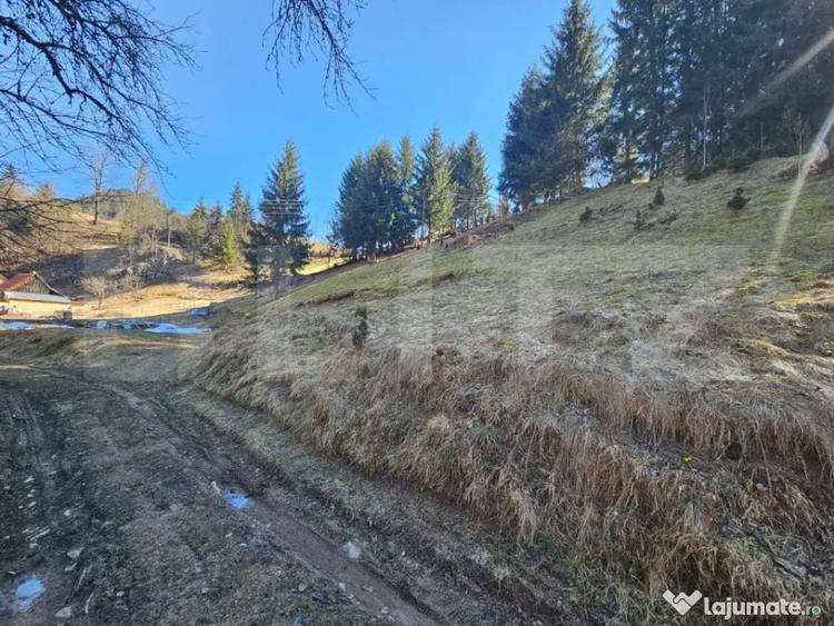Teren în Scărișoara