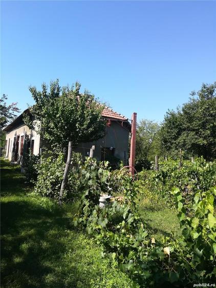 Casă cu 5 camere în Celaru