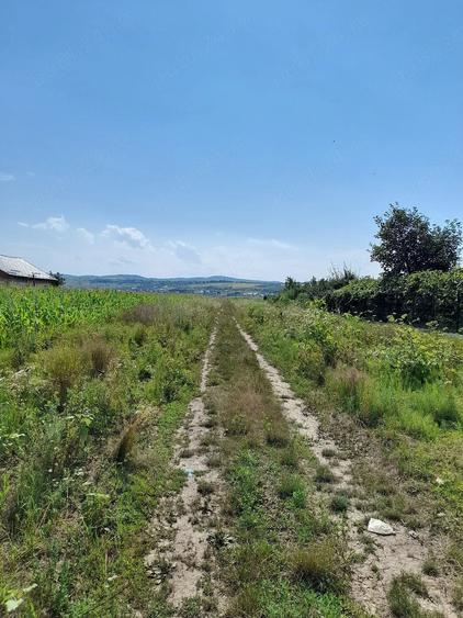 Teren de 3000 mp, în Lilieci