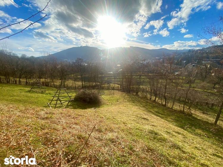 Teren de 1135 mp, în Valea Doftanei
