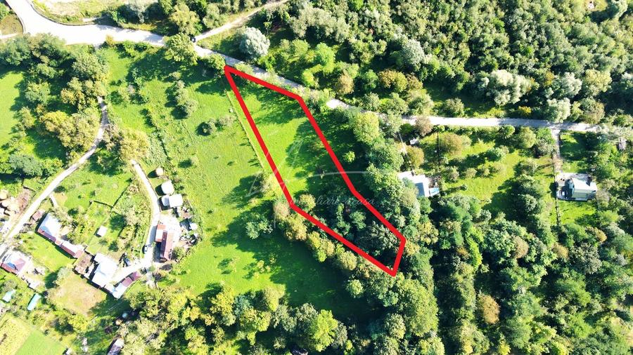 Teren Construcții intravilan de 2870 mp, în Valea Bradului