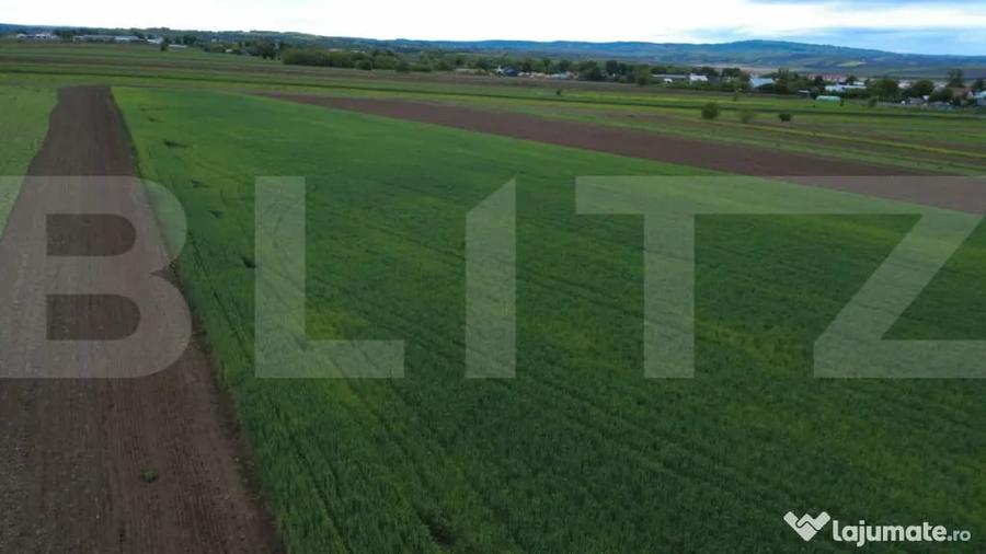 Teren agricol, 5.200 mp, Comuna Sendriceni - 1