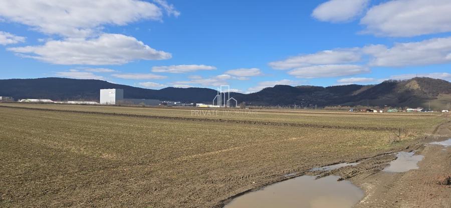 Teren agricol extravilan de 6607 mp, în Albești