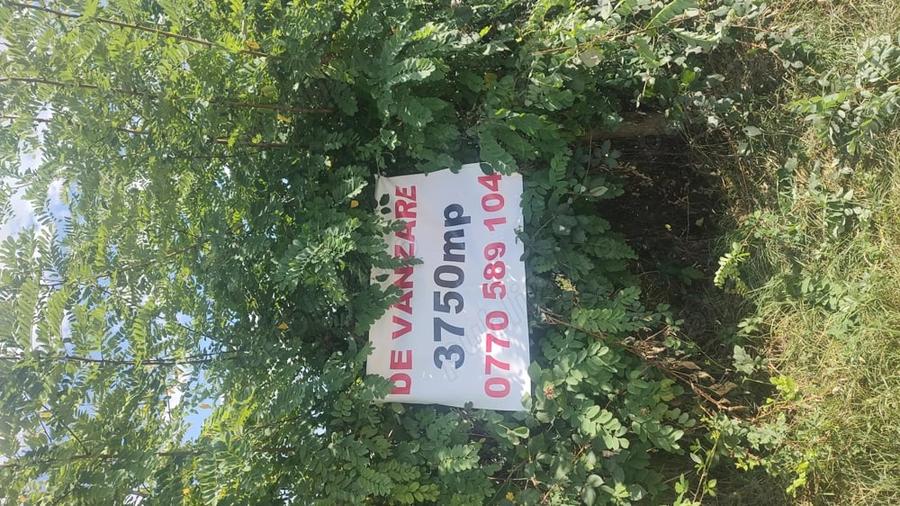 Teren în Mihăești