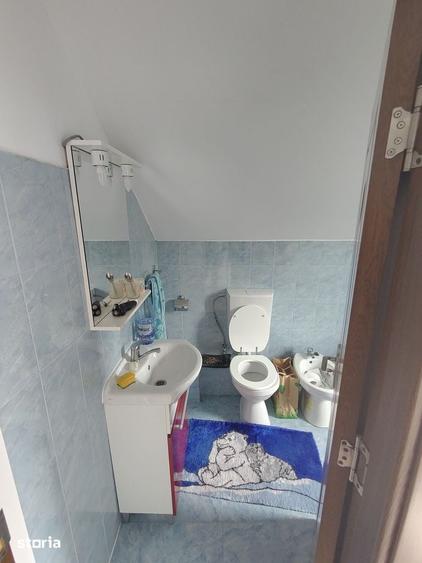 Casa de vacanta sau locuit in Tocile, Sadu P+M, mobilata - 1