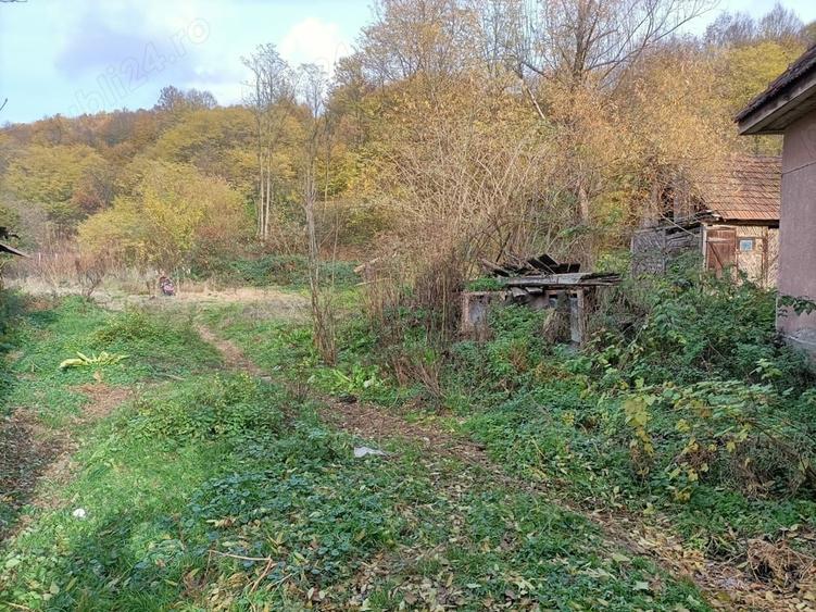 Casă cu 4 camere cu Teren 2878 Mp în Dognecea