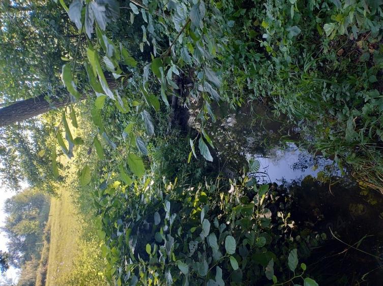 Teren în Valea Albă