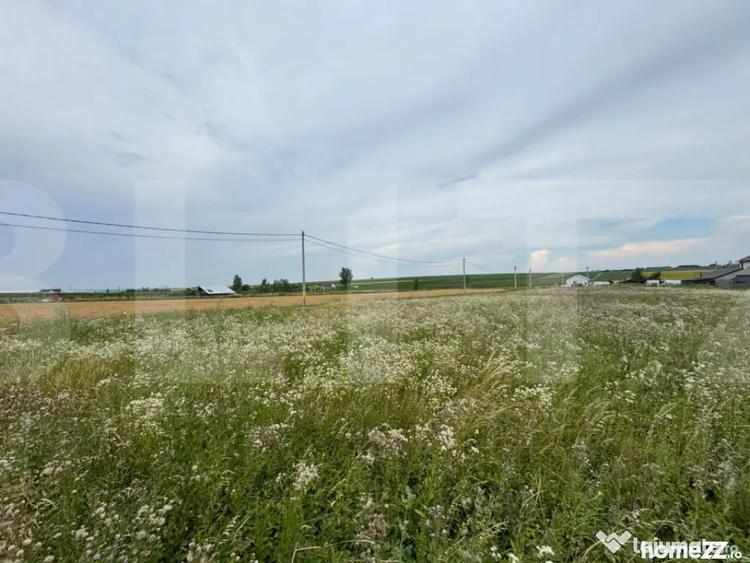 Teren în Răchiți
