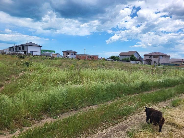 Teren de 5000 mp, în Lazu