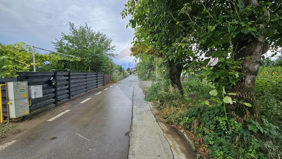 Teren de 2600 mp, în Lisaura