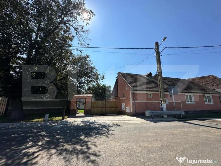 Casa saseasca de vanzare, curte, gradina, teren 3000 mp - Ji - 16