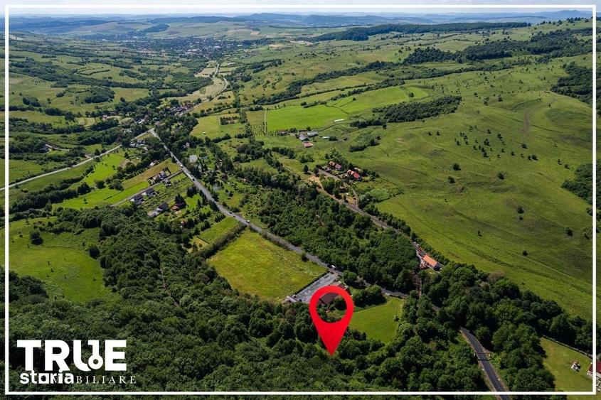 Spațiu comercial, în Câmpu Cetății