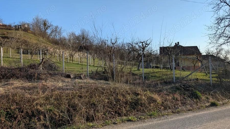 Teren de 2117 mp, în Central