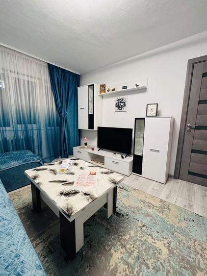 Residence Apartament Cetate de Inchiriat - 4