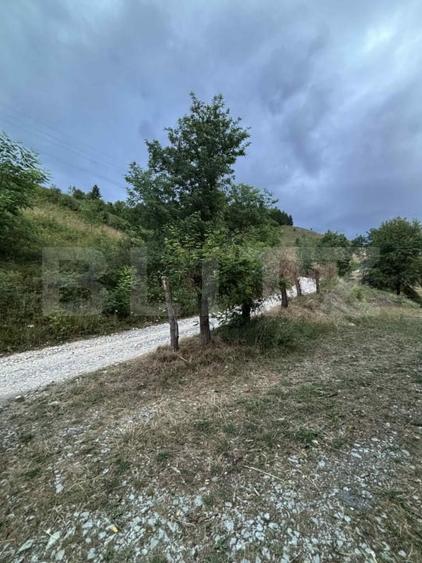 Teren Construcții intravilan de 1585 mp, în Câmpeni
