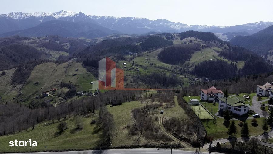 Teren de 29595 mp, în Moieciu
