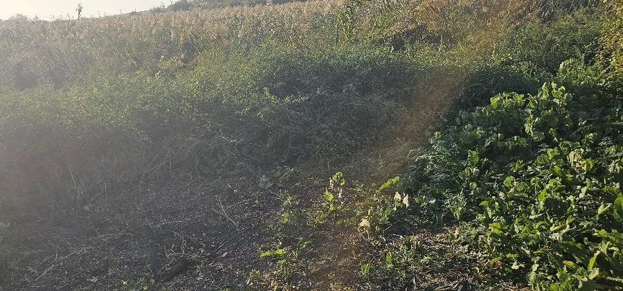 Teren de 840 mp, în Comoara