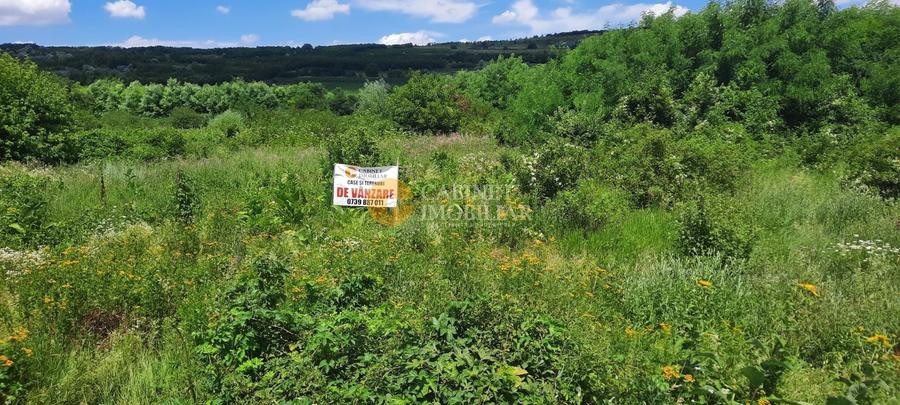 Teren Construcții de 2800 mp, în Tomești