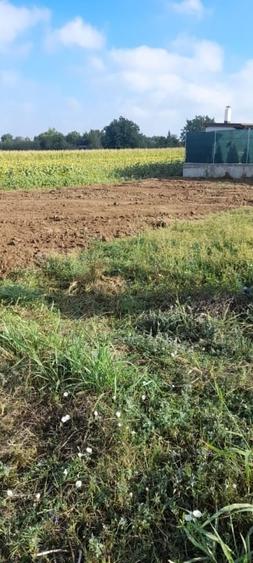 Teren Construcții intravilan de 500 mp, în Tărtășești