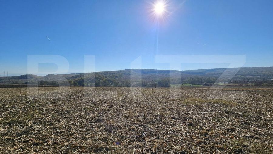Teren agricol extravilan de 17000 mp, în Almașu Mic
