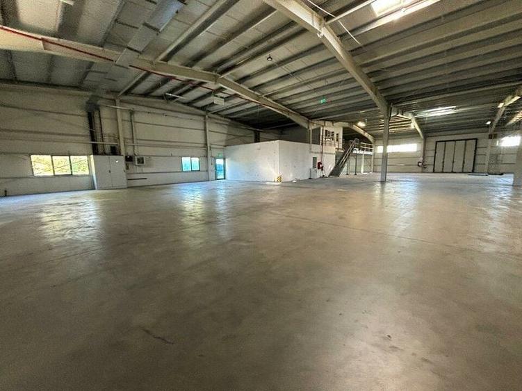 Spațiu comercial, de 2,000 mp, în Șagului
