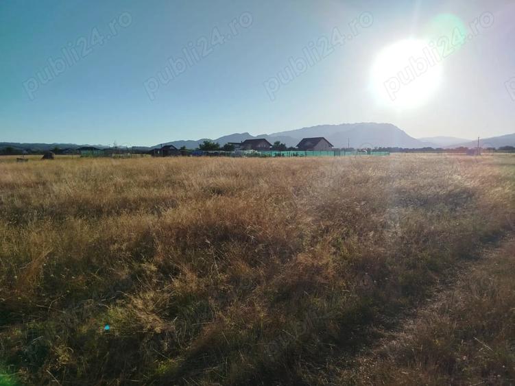 Teren de 1000 mp, în Glăjărie
