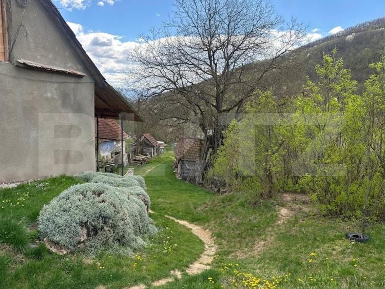 Casă individuală cu 4 camere cu Teren 21369 Mp în Boiu