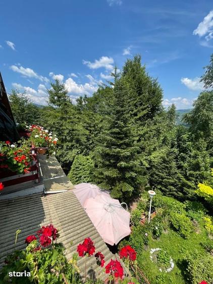 Casa de vacanta | Teren 3155 mp | Breaza - Comarnic | Gura Beliei - 11