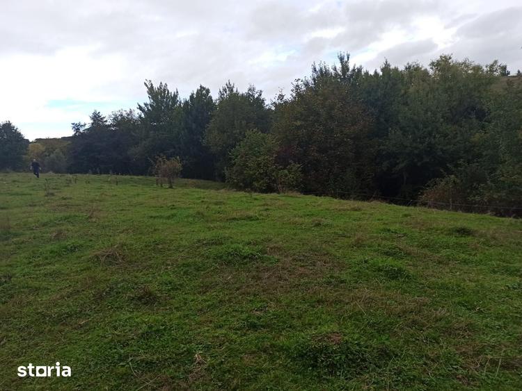 Parcele de teren intravilan cu utilitati-Rasinari-Sibiu - 6