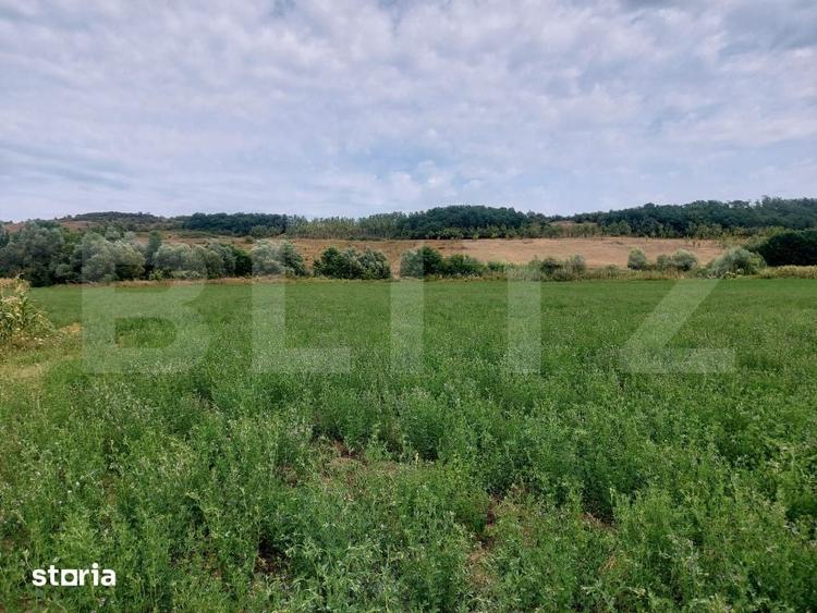 Teren de 27500 mp, în Iclod