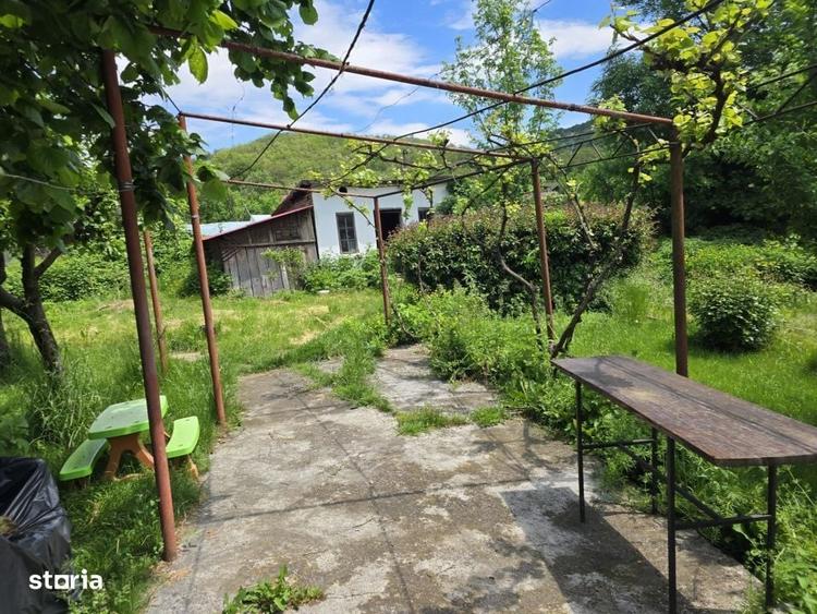 Casă cu 4 camere cu Teren 3450 Mp în Mușătești