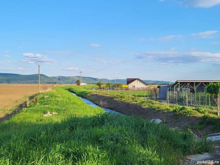 Teren de 5760 mp, în Letea Veche