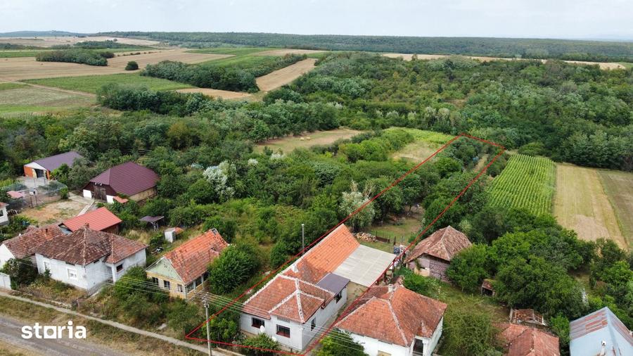 Casă cu 3 camere cu Teren 2268 Mp în Viile Satu Mare