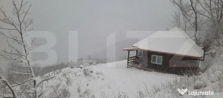 Cabana superba din barne de lemn, zona montana ?ugag - 5