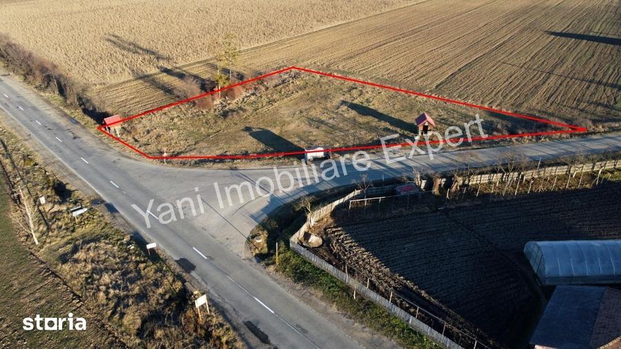 Spațiu comercial, de 3,800 mp, în Ciofrângeni