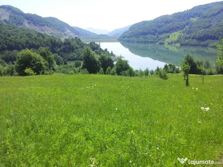 Teren de 73000 mp, în Siriu