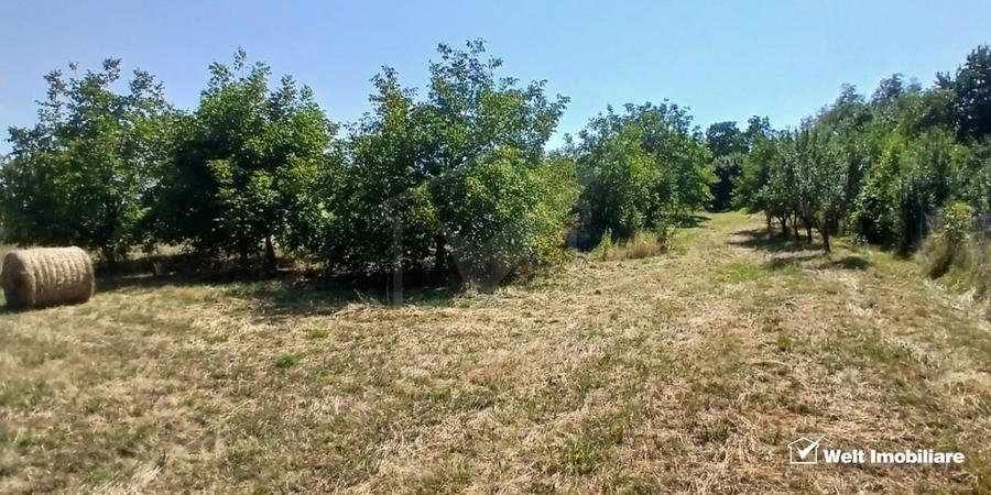Casă individuală cu 3 camere cu Teren 1801 Mp în Comșești