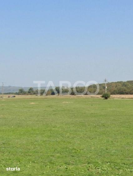 Teren 8696mp pentru investite zona Calea Cisnadiei de vanzare Sibiu - 2
