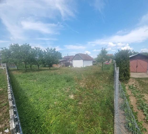 Casa + Teren de Vanzare URGENT, Micula, Satu Mare - 3