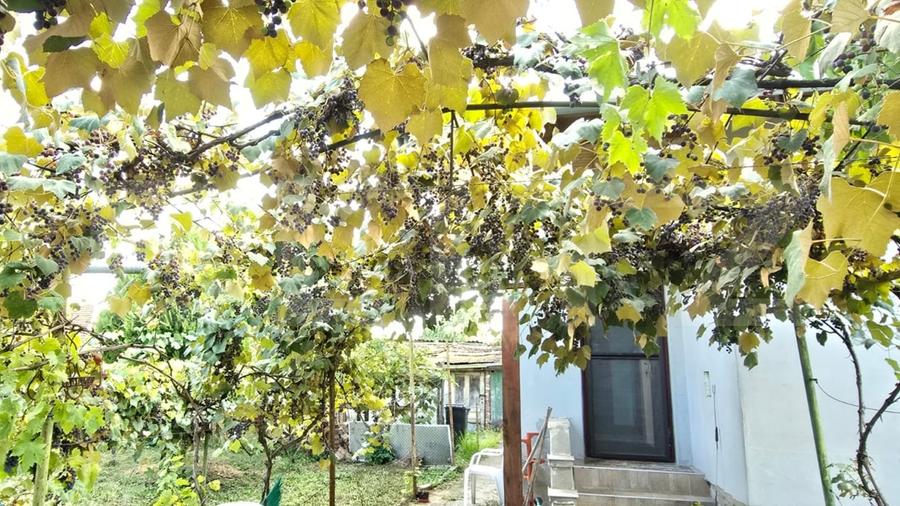 Casă individuală cu 3 camere cu Canalizare în Nord