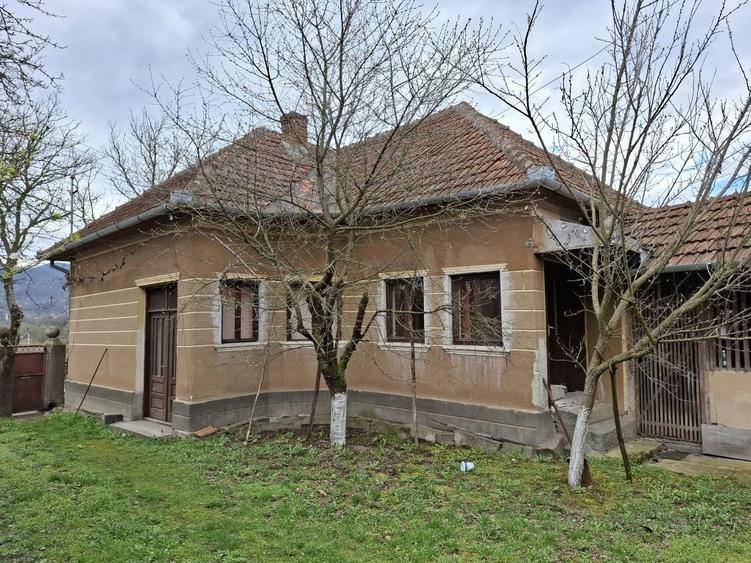 Casă cu 3 camere cu Teren 1677 Mp în Pleșcuța