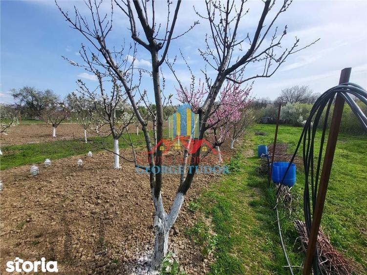 Casă cu 5 camere cu Teren 1387 Mp în Central