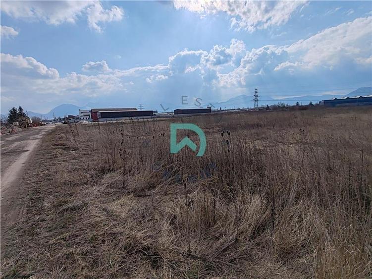 Teren intravilan de 5900 mp, în Periferie