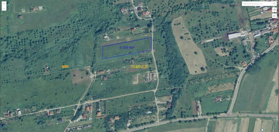 Teren Construcții de 8000 mp, în Daia Nouă