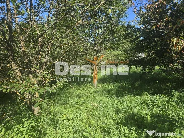 Casă cu 3 camere cu Teren 2614 Mp în Trăisteni